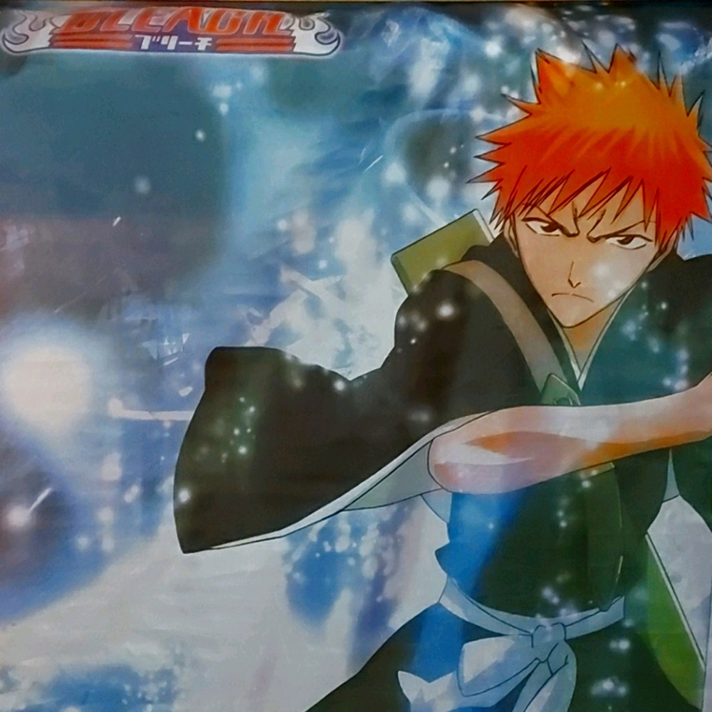 Bleach anime Wall Scroll